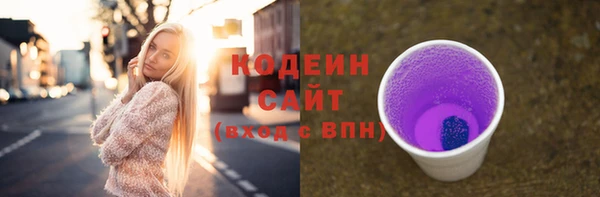 крисы Переславль-Залесский